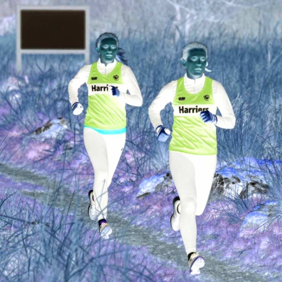 From Nurse to $700,000: Deconstructing the Data Behind the Zhang Shuihua Phenomenon