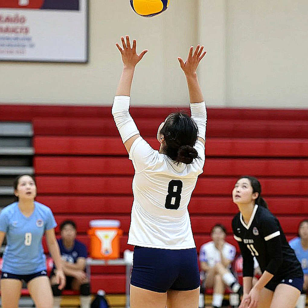 Deep Analysis of Volleyball: When Input Data Is Empty and Lessons on Analytical Process